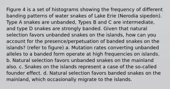 Figure 4 is a set of histograms showing the frequency of different banding patterns of water snakes of Lake Erie (Nerodia sipedon). Type A snakes are unbanded, Types B and C are intermediate, and type D snakes are strongly banded. Given that natural selection favors unbanded snakes on the islands, how can you account for the presence/perpetuation of banded snakes on the islands? (refer to figure) a. Mutation rates converting unbanded alleles to a banded form operate at high frequencies on islands. b. Natural selection favors unbanded snakes on the mainland also. c. Snakes on the islands represent a case of the so-called founder effect. d. Natural selection favors banded snakes on the mainland, which occasionally migrate to the islands.