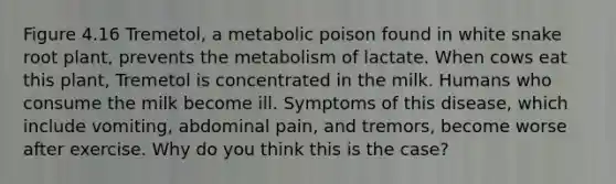 Figure 4.16 Tremetol, a metabolic poison found in white snake root plant, prevents the metabolism of lactate. When cows eat this plant, Tremetol is concentrated in the milk. Humans who consume the milk become ill. Symptoms of this disease, which include vomiting, abdominal pain, and tremors, become worse after exercise. Why do you think this is the case?