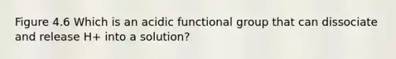 Figure 4.6 Which is an acidic functional group that can dissociate and release H+ into a solution?