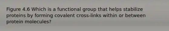 Figure 4.6 Which is a functional group that helps stabilize proteins by forming covalent cross-links within or between protein molecules?