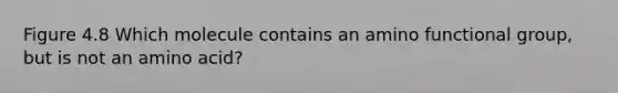 Figure 4.8 Which molecule contains an amino functional group, but is not an amino acid?