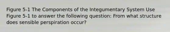 Figure 5-1 The Components of the Integumentary System Use Figure 5-1 to answer the following question: From what structure does sensible perspiration occur?