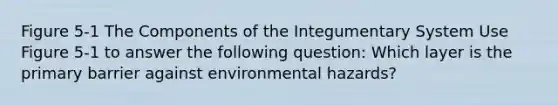 Figure 5-1 The Components of the Integumentary System Use Figure 5-1 to answer the following question: Which layer is the primary barrier against environmental hazards?