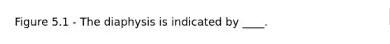 Figure 5.1 - The diaphysis is indicated by ____.