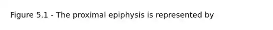 Figure 5.1 - The proximal epiphysis is represented by