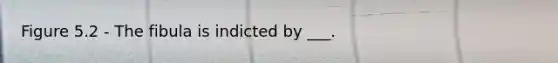 Figure 5.2 - The fibula is indicted by ___.