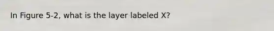 In Figure 5-2, what is the layer labeled X?