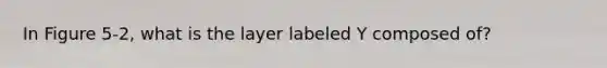 In Figure 5-2, what is the layer labeled Y composed of?