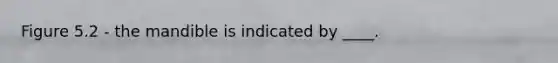 Figure 5.2 - the mandible is indicated by ____.