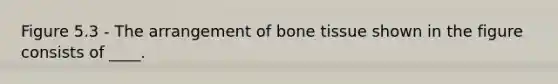 Figure 5.3 - The arrangement of bone tissue shown in the figure consists of ____.