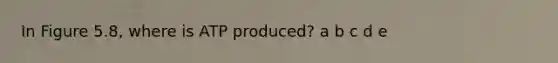 In Figure 5.8, where is ATP produced? a b c d e