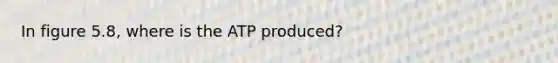 In figure 5.8, where is the ATP produced?