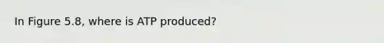 In Figure 5.8, where is ATP produced?