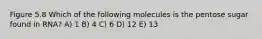 Figure 5.8 Which of the following molecules is the pentose sugar found in RNA? A) 1 B) 4 C) 6 D) 12 E) 13