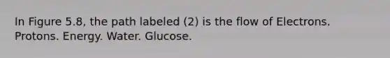 In Figure 5.8, the path labeled (2) is the flow of Electrons. Protons. Energy. Water. Glucose.