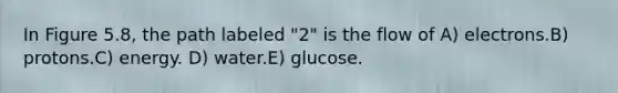 In Figure 5.8, the path labeled "2" is the flow of A) electrons.B) protons.C) energy. D) water.E) glucose.