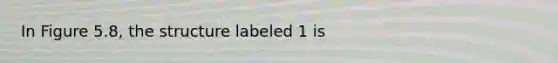 In Figure 5.8, the structure labeled 1 is