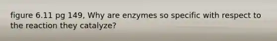 figure 6.11 pg 149, Why are enzymes so specific with respect to the reaction they catalyze?