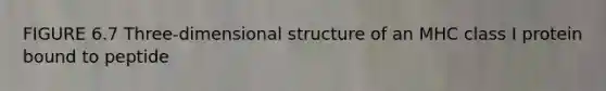 FIGURE 6.7 Three-dimensional structure of an MHC class I protein bound to peptide