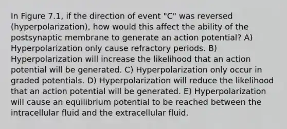 In Figure 7.1, if the direction of event "C" was reversed (hyperpolarization), how would this affect the ability of the postsynaptic membrane to generate an action potential? A) Hyperpolarization only cause refractory periods. B) Hyperpolarization will increase the likelihood that an action potential will be generated. C) Hyperpolarization only occur in graded potentials. D) Hyperpolarization will reduce the likelihood that an action potential will be generated. E) Hyperpolarization will cause an equilibrium potential to be reached between the intracellular fluid and the extracellular fluid.