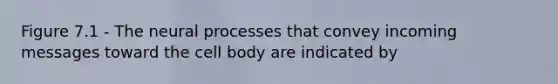 Figure 7.1 - The neural processes that convey incoming messages toward the cell body are indicated by