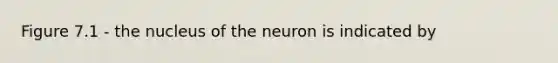 Figure 7.1 - the nucleus of the neuron is indicated by