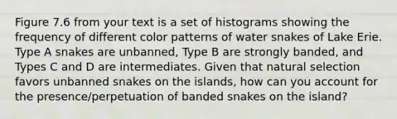 Figure 7.6 from your text is a set of histograms showing the frequency of different color patterns of water snakes of Lake Erie. Type A snakes are unbanned, Type B are strongly banded, and Types C and D are intermediates. Given that natural selection favors unbanned snakes on the islands, how can you account for the presence/perpetuation of banded snakes on the island?