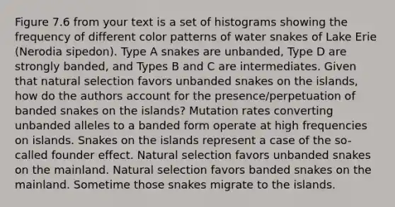 Figure 7.6 from your text is a set of histograms showing the frequency of different color patterns of water snakes of Lake Erie (Nerodia sipedon). Type A snakes are unbanded, Type D are strongly banded, and Types B and C are intermediates. Given that natural selection favors unbanded snakes on the islands, how do the authors account for the presence/perpetuation of banded snakes on the islands? Mutation rates converting unbanded alleles to a banded form operate at high frequencies on islands. Snakes on the islands represent a case of the so-called founder effect. Natural selection favors unbanded snakes on the mainland. Natural selection favors banded snakes on the mainland. Sometime those snakes migrate to the islands.