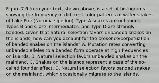 Figure 7.6 from your text, shown above, is a set of histograms showing the frequency of different color patterns of water snakes of Lake Erie (Nerodia sipedon). Type A snakes are unbanded, Types B and C are intermediates, and Type D are strongly banded. Given that natural selection favors unbanded snakes on the islands, how can you account for the presence/perpetuation of banded snakes on the islands? A. Mutation rates converting unbanded alleles to a banded form operate at high frequencies on islands. B. Natural selection favors unbanded snakes on the mainland. C. Snakes on the islands represent a case of the so-called founder effect. D. Natural selection favors banded snakes on the mainland, which occasionally migrate to the islands.