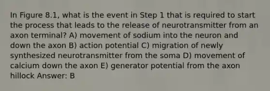 In Figure 8.1, what is the event in Step 1 that is required to start the process that leads to the release of neurotransmitter from an axon terminal? A) movement of sodium into the neuron and down the axon B) action potential C) migration of newly synthesized neurotransmitter from the soma D) movement of calcium down the axon E) generator potential from the axon hillock Answer: B