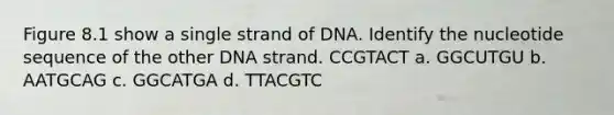 Figure 8.1 show a single strand of DNA. Identify the nucleotide sequence of the other DNA strand. CCGTACT a. GGCUTGU b. AATGCAG c. GGCATGA d. TTACGTC