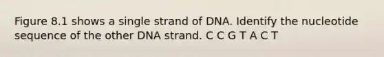 Figure 8.1 shows a single strand of DNA. Identify the nucleotide sequence of the other DNA strand. C C G T A C T