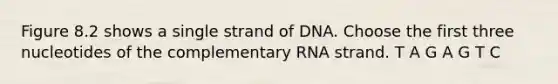 Figure 8.2 shows a single strand of DNA. Choose the first three nucleotides of the complementary RNA strand. T A G A G T C