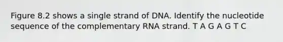 Figure 8.2 shows a single strand of DNA. Identify the nucleotide sequence of the complementary RNA strand. T A G A G T C