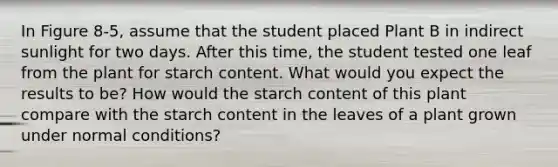 In Figure 8-5, assume that the student placed Plant B in indirect sunlight for two days. After this time, the student tested one leaf from the plant for starch content. What would you expect the results to be? How would the starch content of this plant compare with the starch content in the leaves of a plant grown under normal conditions?