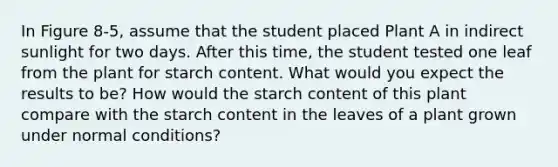 In Figure 8-5, assume that the student placed Plant A in indirect sunlight for two days. After this time, the student tested one leaf from the plant for starch content. What would you expect the results to be? How would the starch content of this plant compare with the starch content in the leaves of a plant grown under normal conditions?