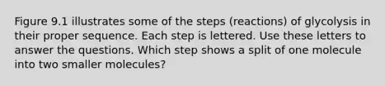 Figure 9.1 illustrates some of the steps (reactions) of glycolysis in their proper sequence. Each step is lettered. Use these letters to answer the questions. Which step shows a split of one molecule into two smaller molecules?