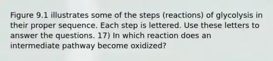 Figure 9.1 illustrates some of the steps (reactions) of glycolysis in their proper sequence. Each step is lettered. Use these letters to answer the questions. 17) In which reaction does an intermediate pathway become oxidized?