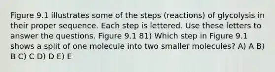 Figure 9.1 illustrates some of the steps (reactions) of glycolysis in their proper sequence. Each step is lettered. Use these letters to answer the questions. Figure 9.1 81) Which step in Figure 9.1 shows a split of one molecule into two smaller molecules? A) A B) B C) C D) D E) E