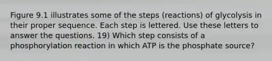 Figure 9.1 illustrates some of the steps (reactions) of glycolysis in their proper sequence. Each step is lettered. Use these letters to answer the questions. 19) Which step consists of a phosphorylation reaction in which ATP is the phosphate source?