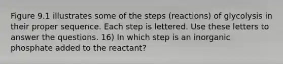 Figure 9.1 illustrates some of the steps (reactions) of glycolysis in their proper sequence. Each step is lettered. Use these letters to answer the questions. 16) In which step is an inorganic phosphate added to the reactant?