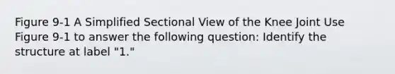 Figure 9-1 A Simplified Sectional View of the Knee Joint Use Figure 9-1 to answer the following question: Identify the structure at label "1."