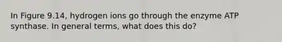 In Figure 9.14, hydrogen ions go through the enzyme ATP synthase. In general terms, what does this do?