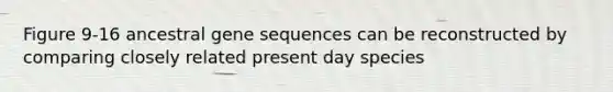 Figure 9-16 ancestral gene sequences can be reconstructed by comparing closely related present day species