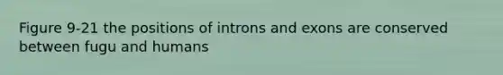 Figure 9-21 the positions of introns and exons are conserved between fugu and humans