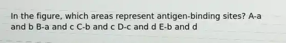 In the figure, which areas represent antigen-binding sites? A-a and b B-a and c C-b and c D-c and d E-b and d