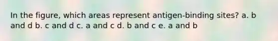 In the figure, which areas represent antigen-binding sites? a. b and d b. c and d c. a and c d. b and c e. a and b