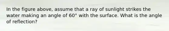 In the figure above, assume that a ray of sunlight strikes the water making an angle of 60° with the surface. What is the angle of reflection?