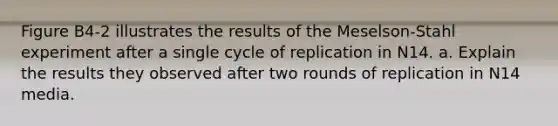 Figure B4-2 illustrates the results of the Meselson-Stahl experiment after a single cycle of replication in N14. a. Explain the results they observed after two rounds of replication in N14 media.