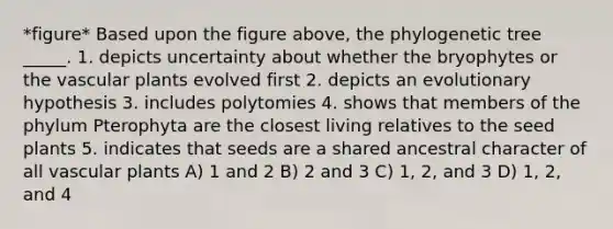 *figure* Based upon the figure above, the phylogenetic tree _____. 1. depicts uncertainty about whether the bryophytes or the <a href='https://www.questionai.com/knowledge/kbaUXKuBoK-vascular-plants' class='anchor-knowledge'>vascular plants</a> evolved first 2. depicts an evolutionary hypothesis 3. includes polytomies 4. shows that members of the phylum Pterophyta are the closest living relatives to the seed plants 5. indicates that seeds are a shared ancestral character of all vascular plants A) 1 and 2 B) 2 and 3 C) 1, 2, and 3 D) 1, 2, and 4